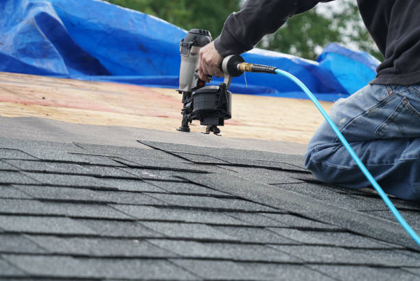 Best Gutter Installation and Roofing  in Brookridge, FL